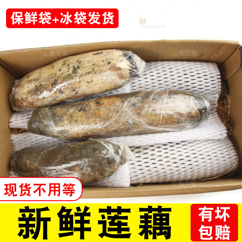 白底上的洪湖粉藕