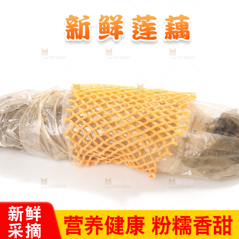 白底上的洪湖粉藕