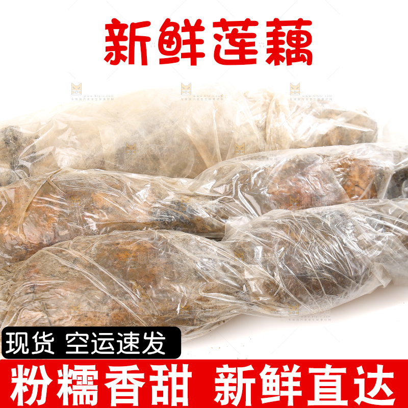 白底上的洪湖粉藕