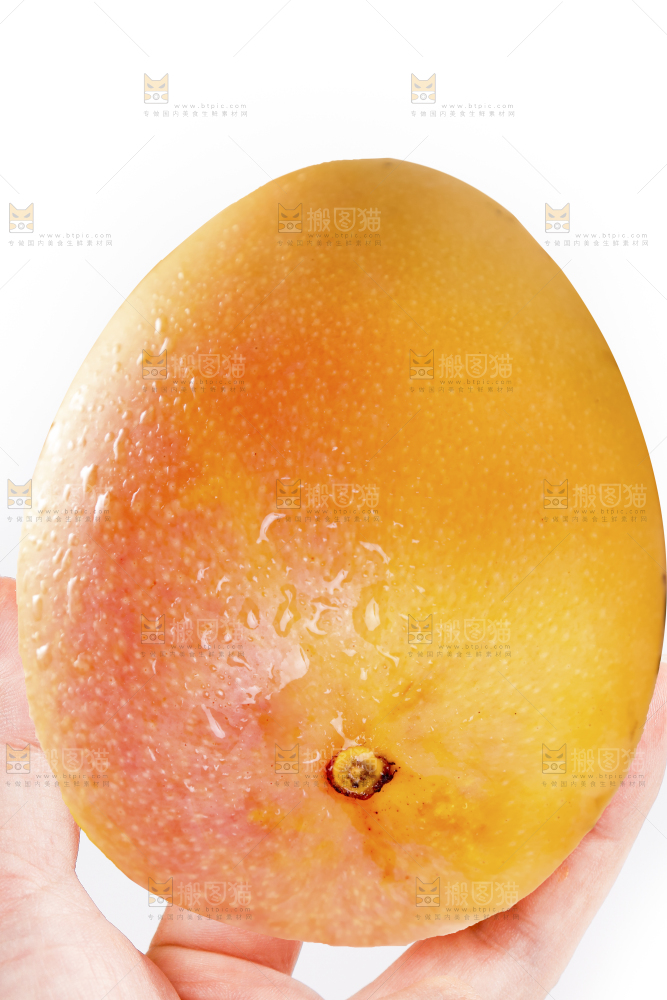 手上拿着黄金澳芒