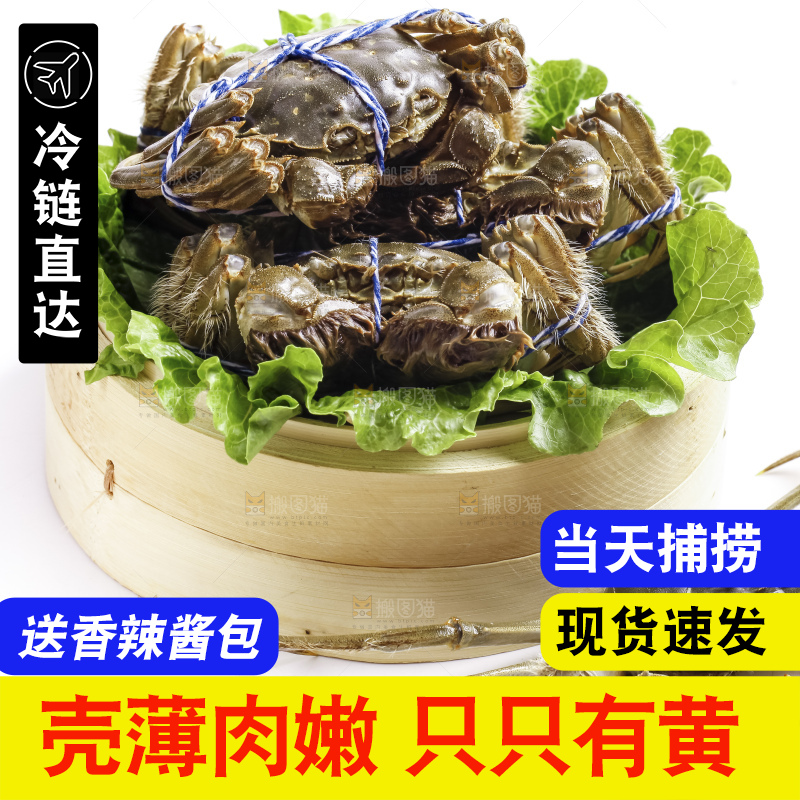 阳澄湖大闸蟹