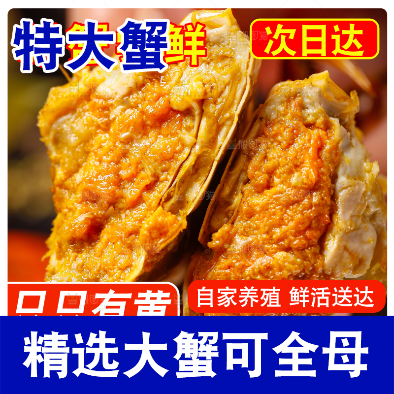阳澄湖大闸蟹主图