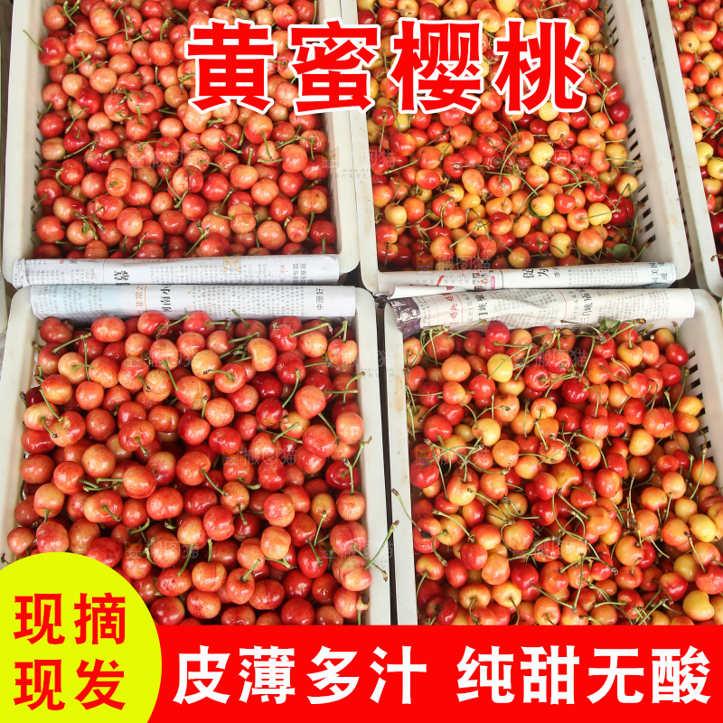 箱子里装着黄蜜樱桃