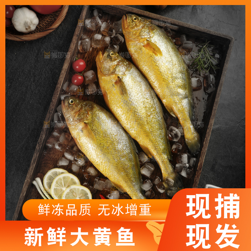 深底上的黄鱼