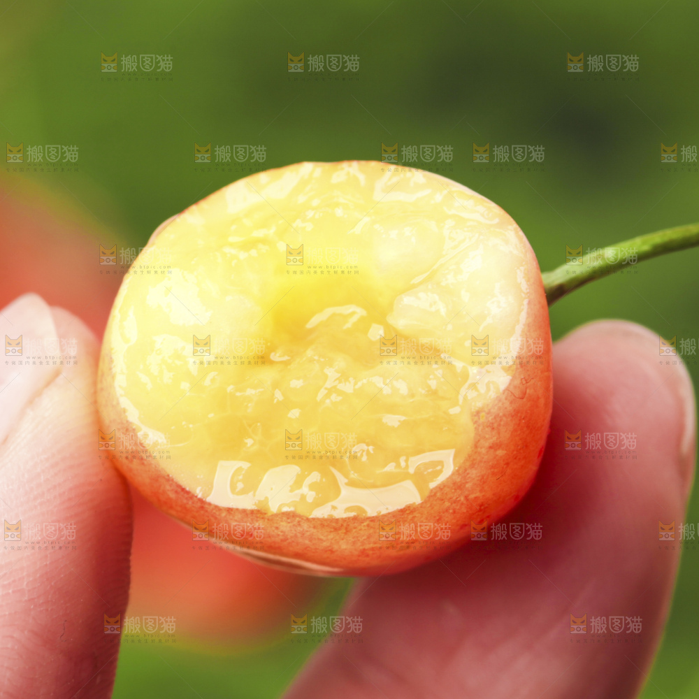 草地上放着黄蜜樱桃