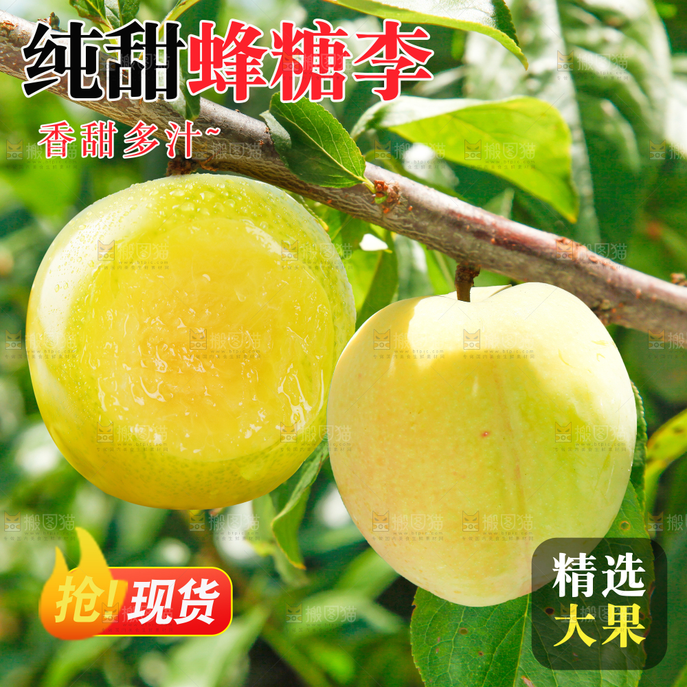 蜂糖李主图