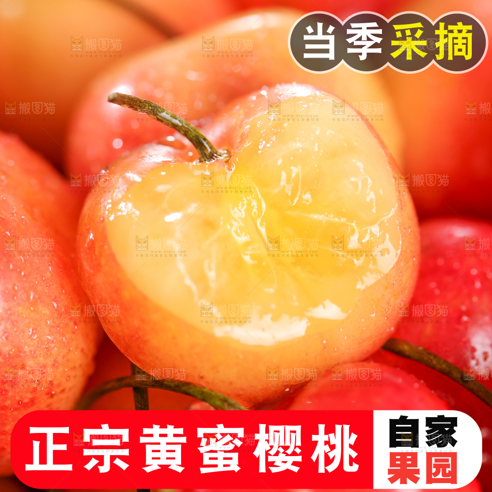 黄蜜樱桃主图