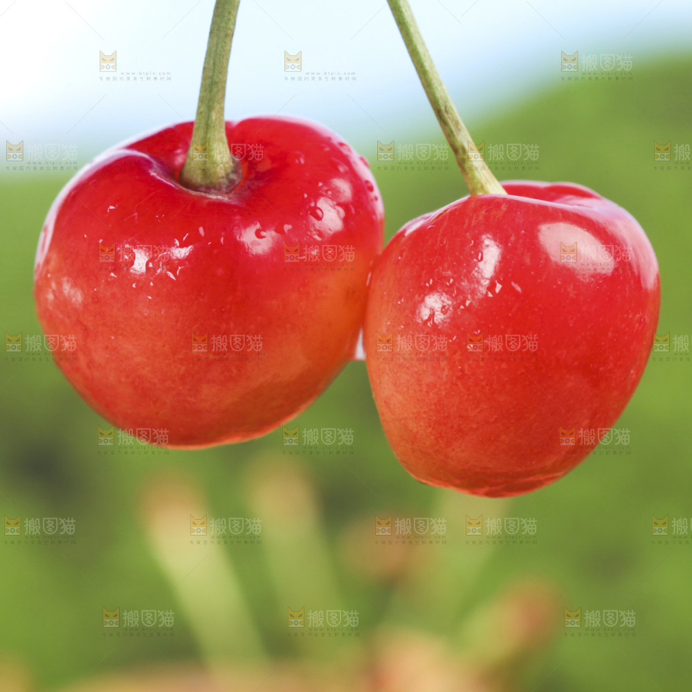 草地上放着黄蜜樱桃