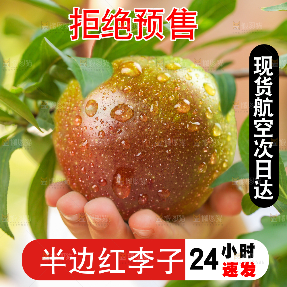 半边红李子主图