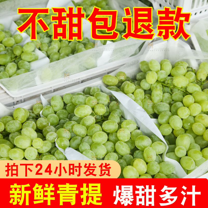 箱子里装着青提