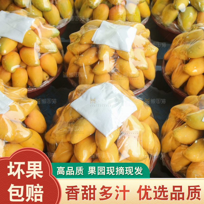摆放整齐的小台芒