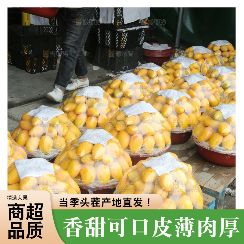摆放整齐的小台芒