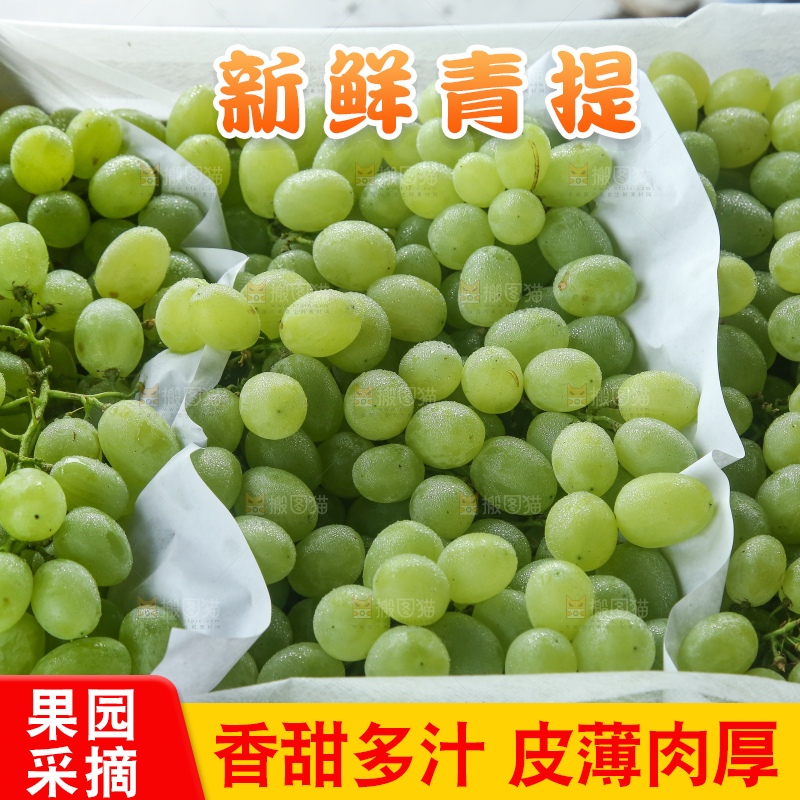 箱子里装着青提
