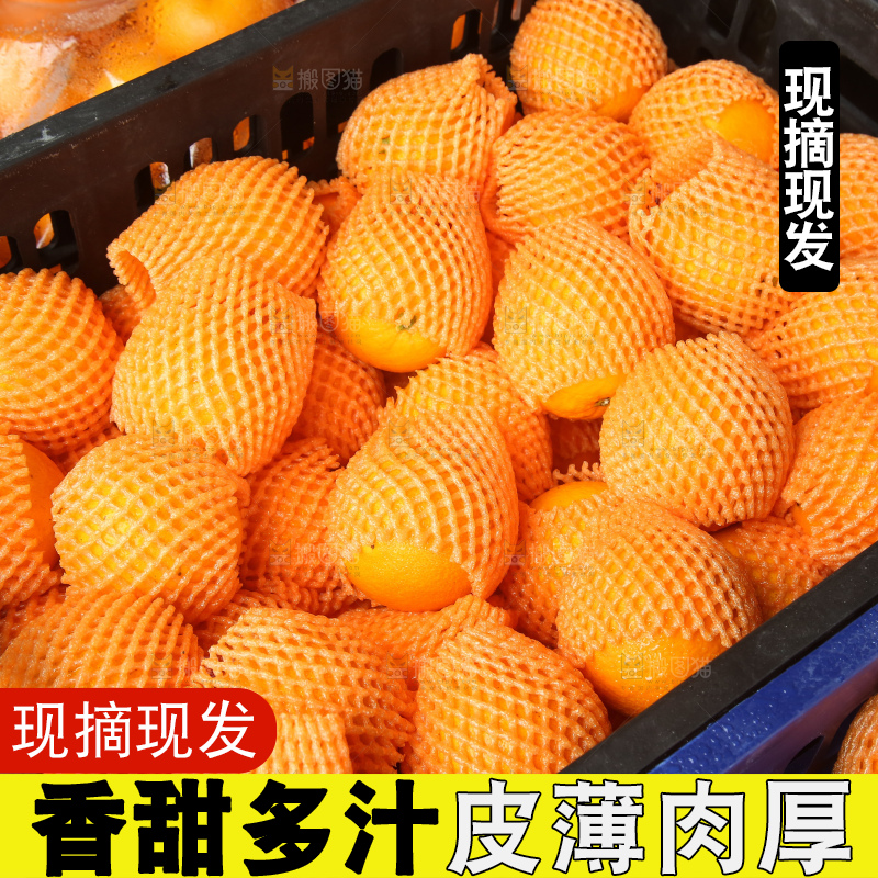 摆放整齐的脐橙