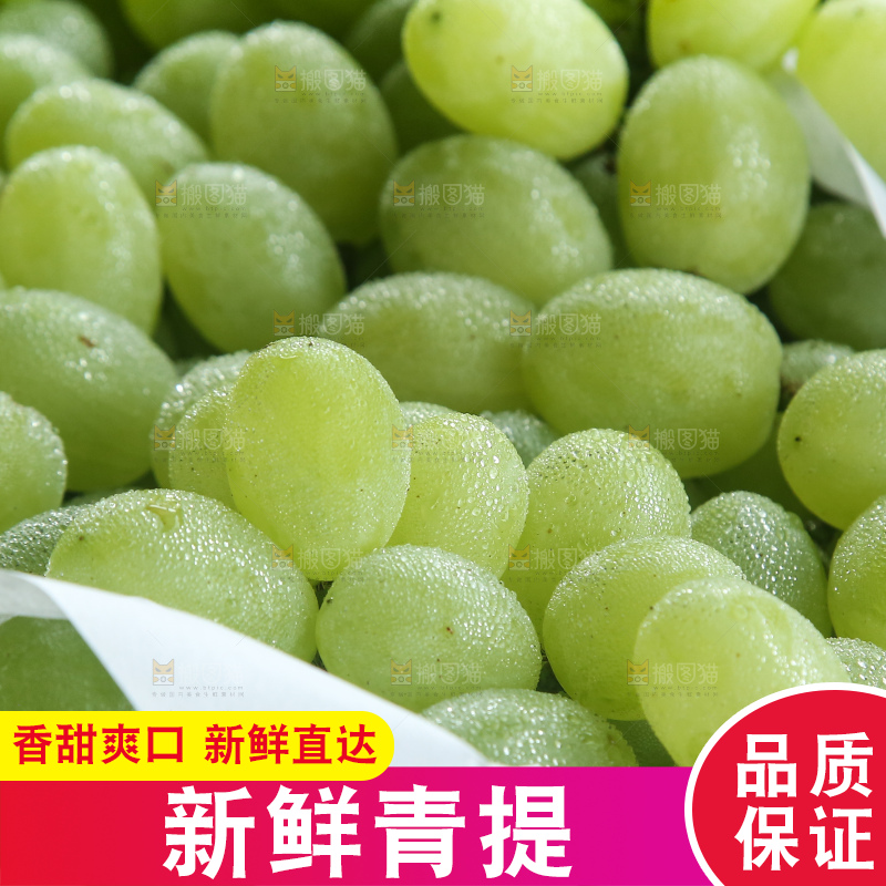 箱子里装着青提