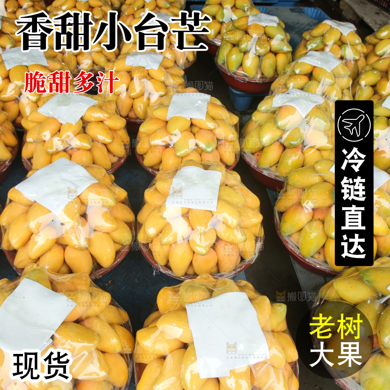 摆放整齐的小台芒