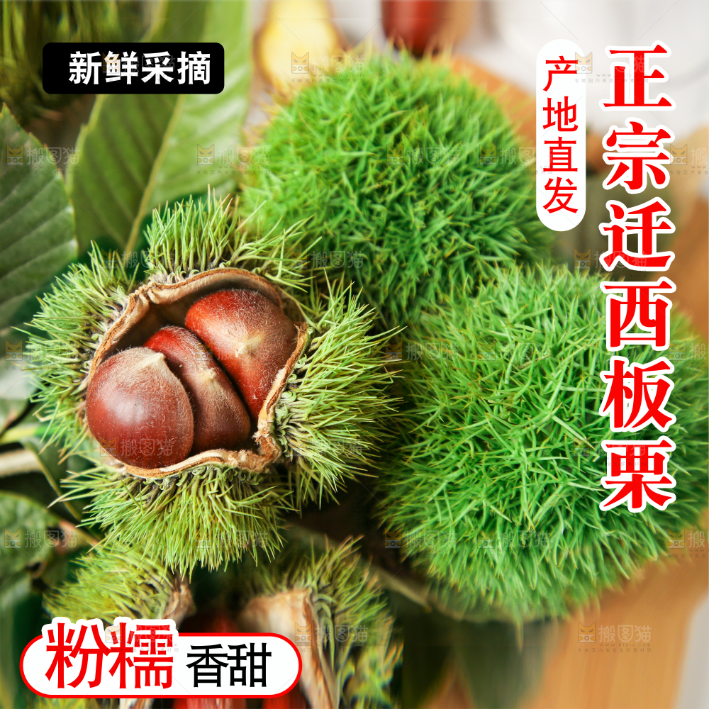 迁西板栗主图
