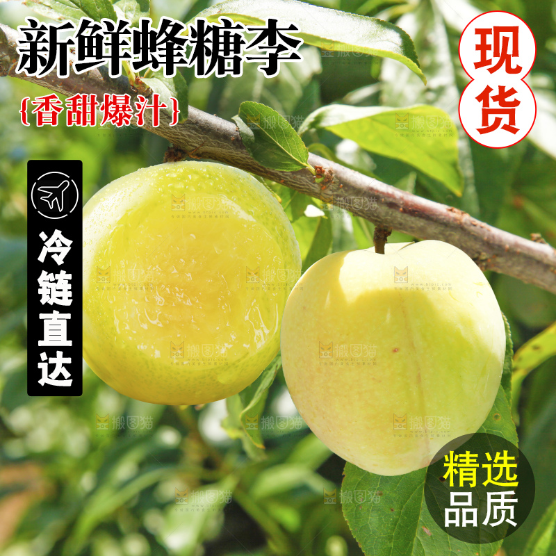 枝上挂着蜂糖李