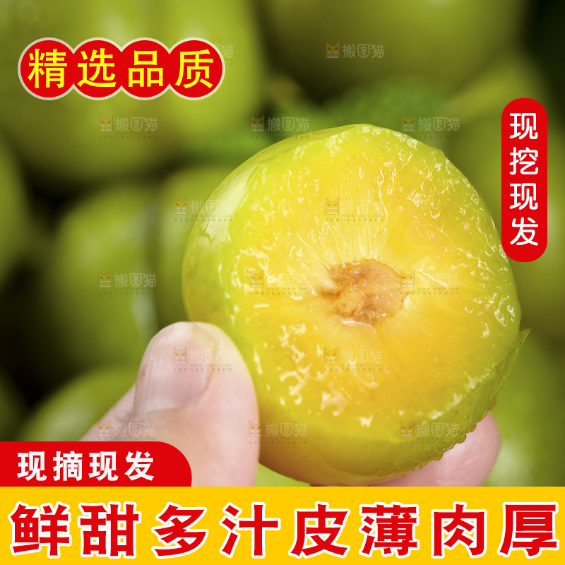手里拿着蜂糖李