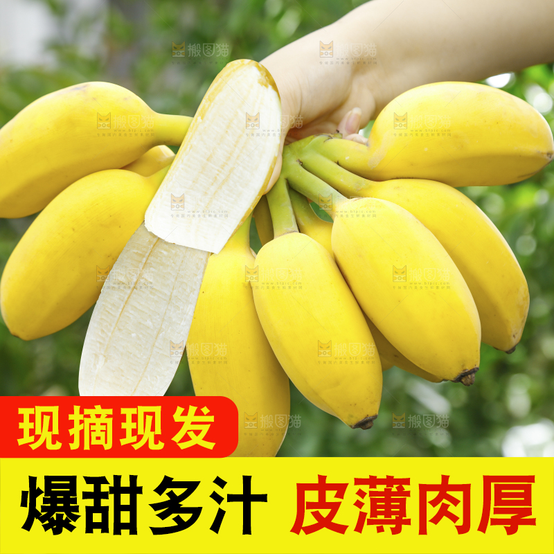 手里拿着苹果蕉