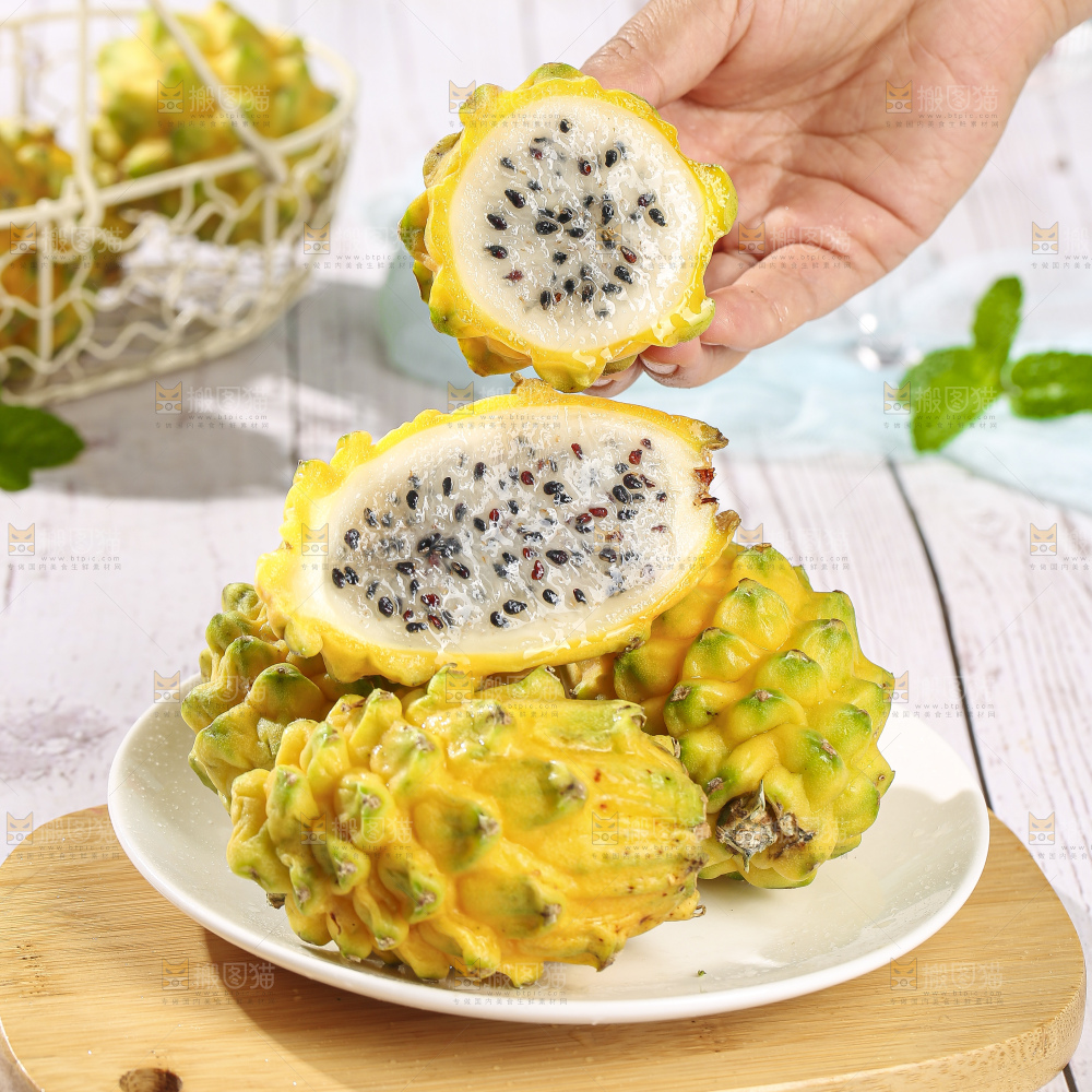 浅底上的麒麟果