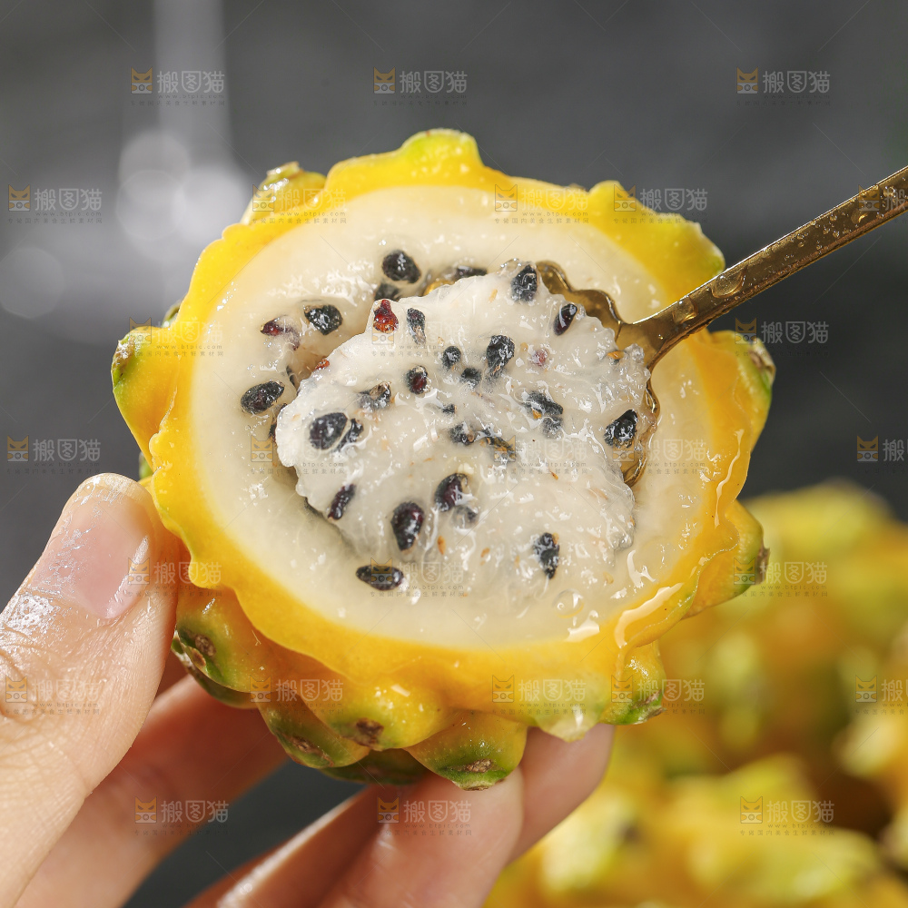 浅底上的麒麟果