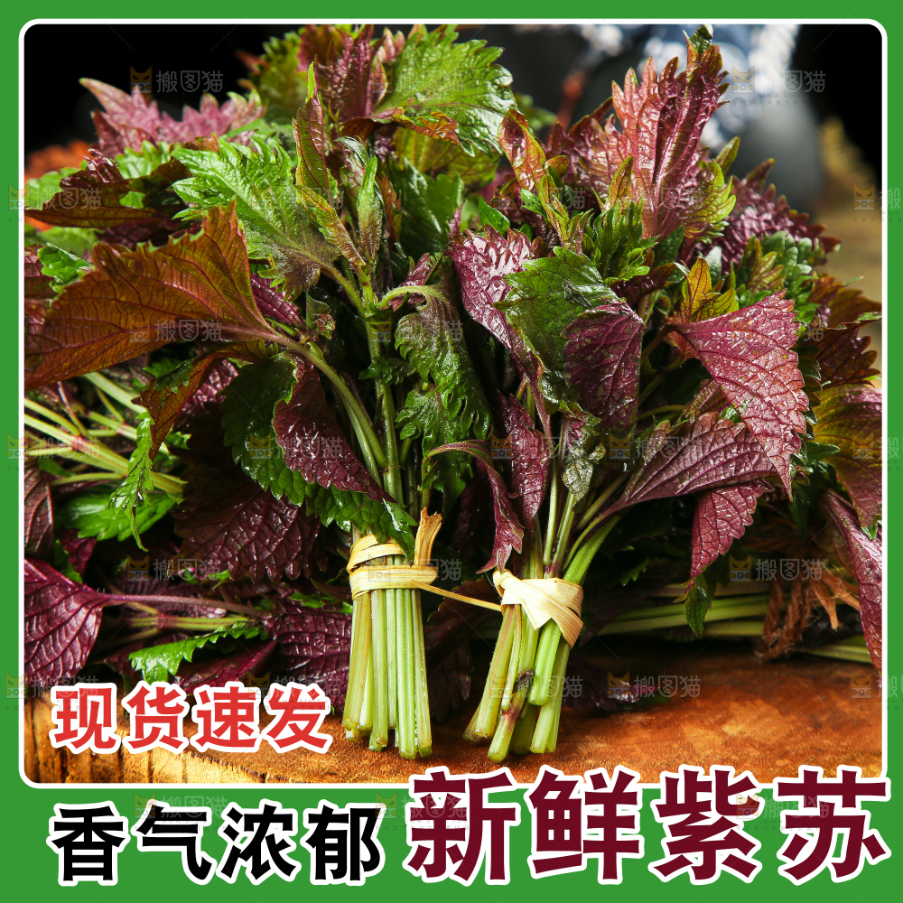 紫苏叶主图