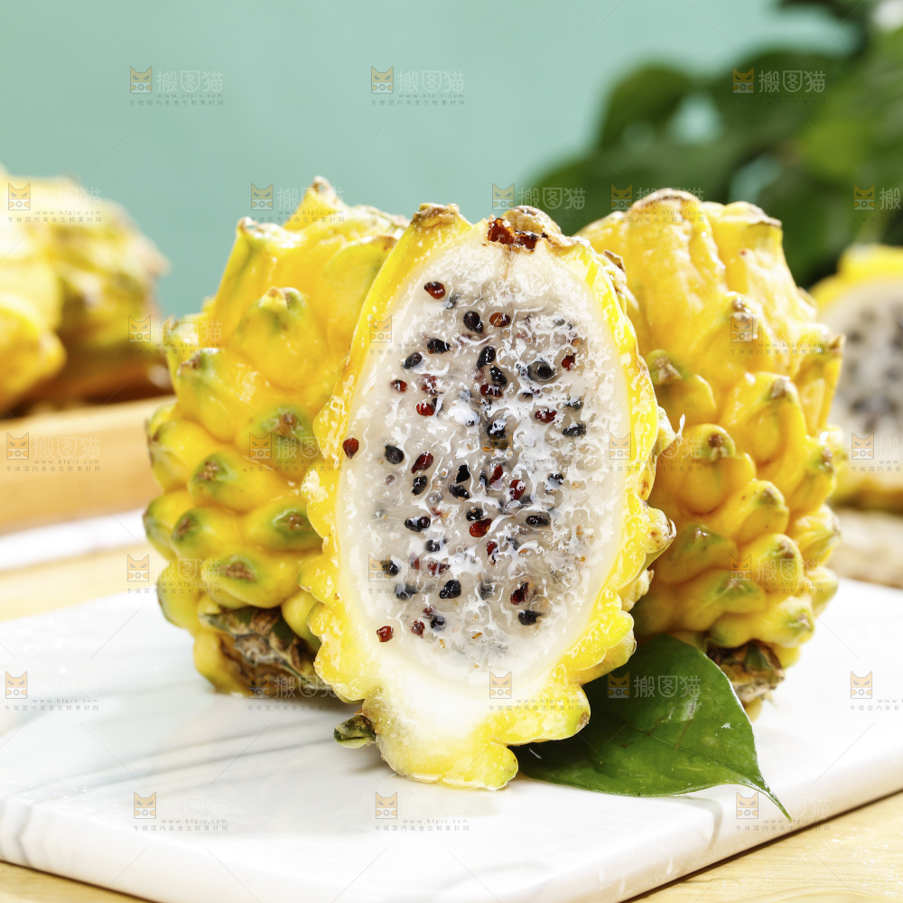 浅底上的麒麟果