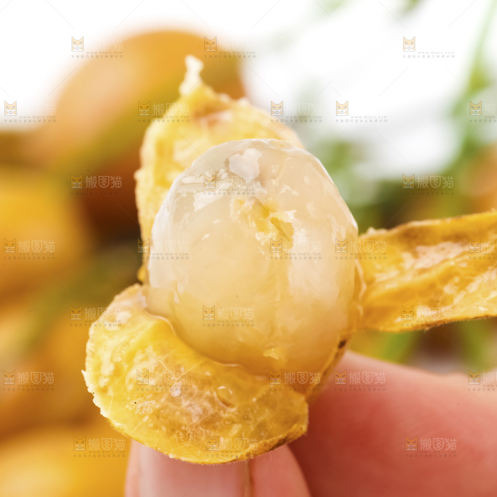 白底上的黄皮果