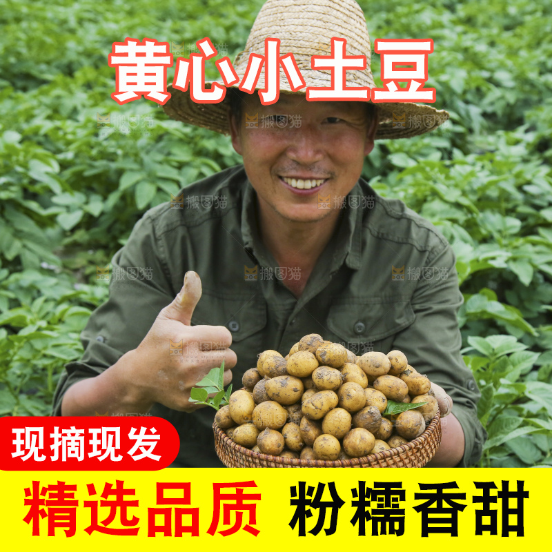 手里拿着小土豆