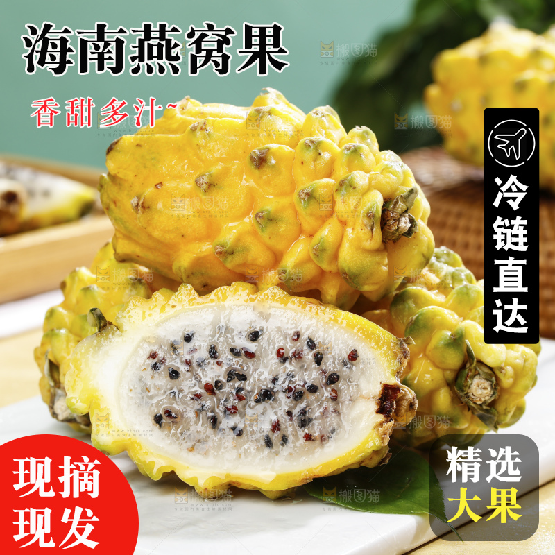 浅底上的麒麟果
