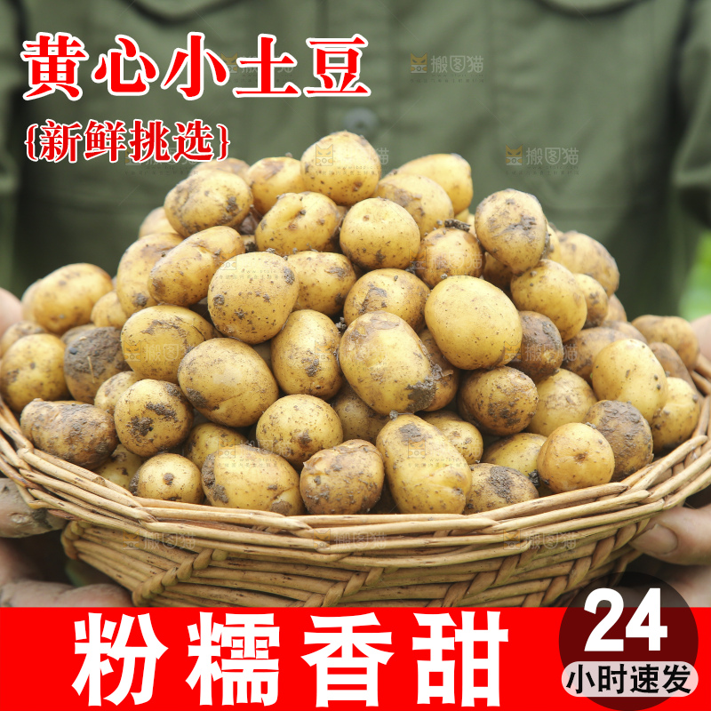 木底上的小土豆