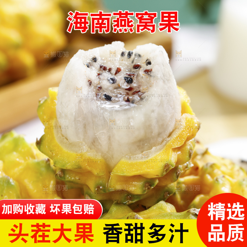 浅底上的麒麟果