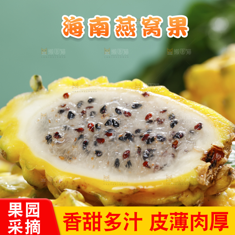 浅底上的麒麟果