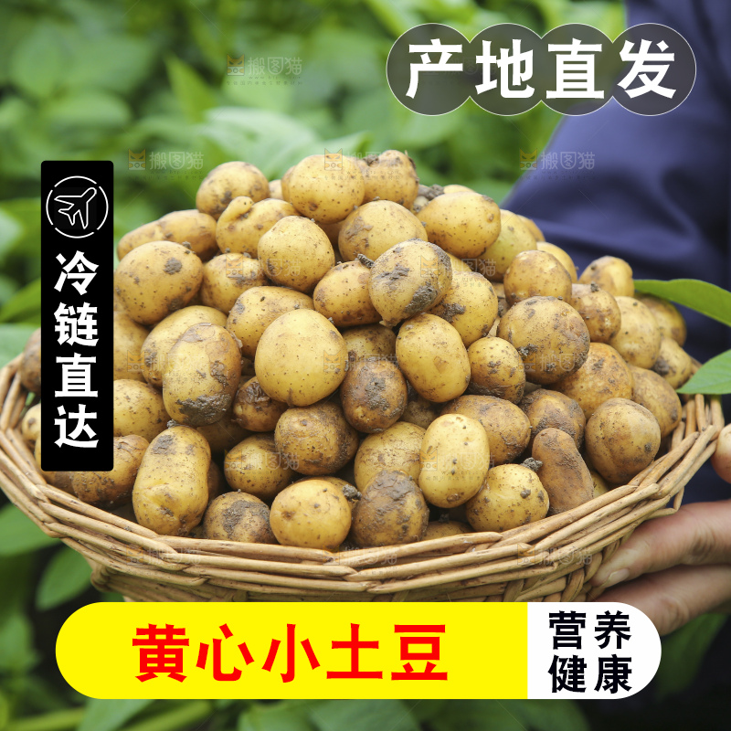 木底上的小土豆