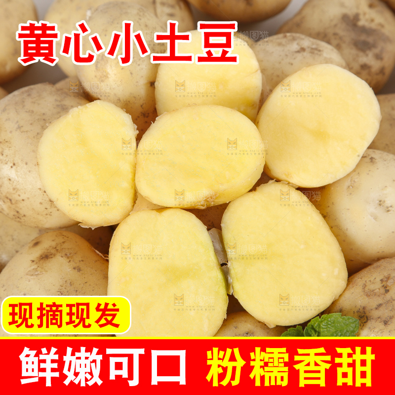 木底上的小土豆