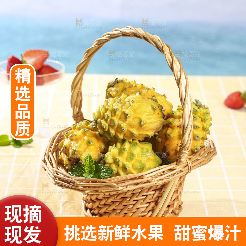 浅底上的麒麟果