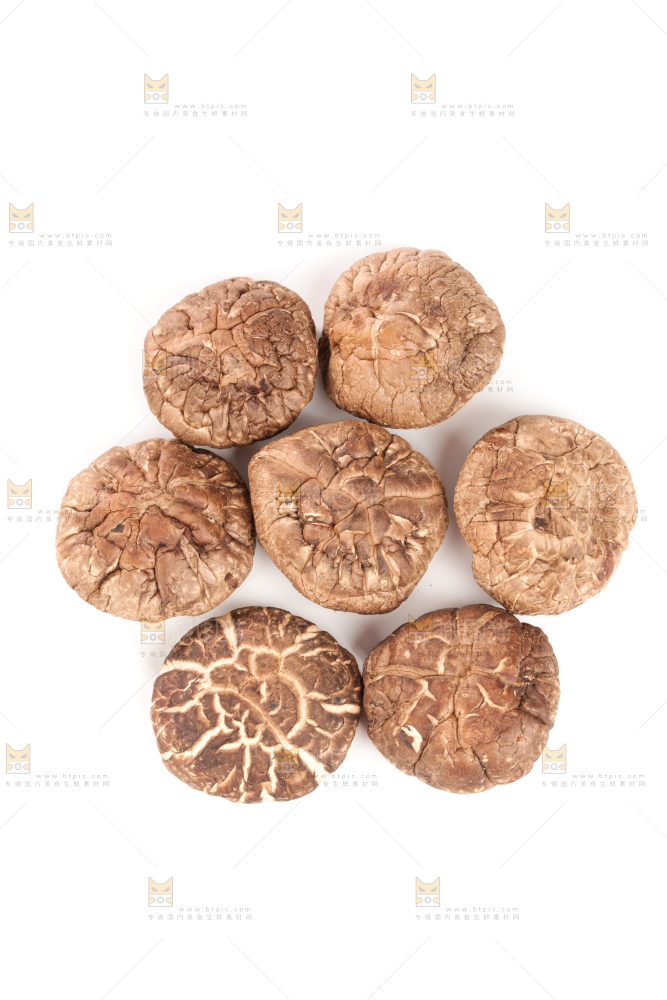 白底上的干香菇