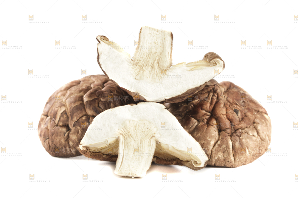 白底上的干香菇