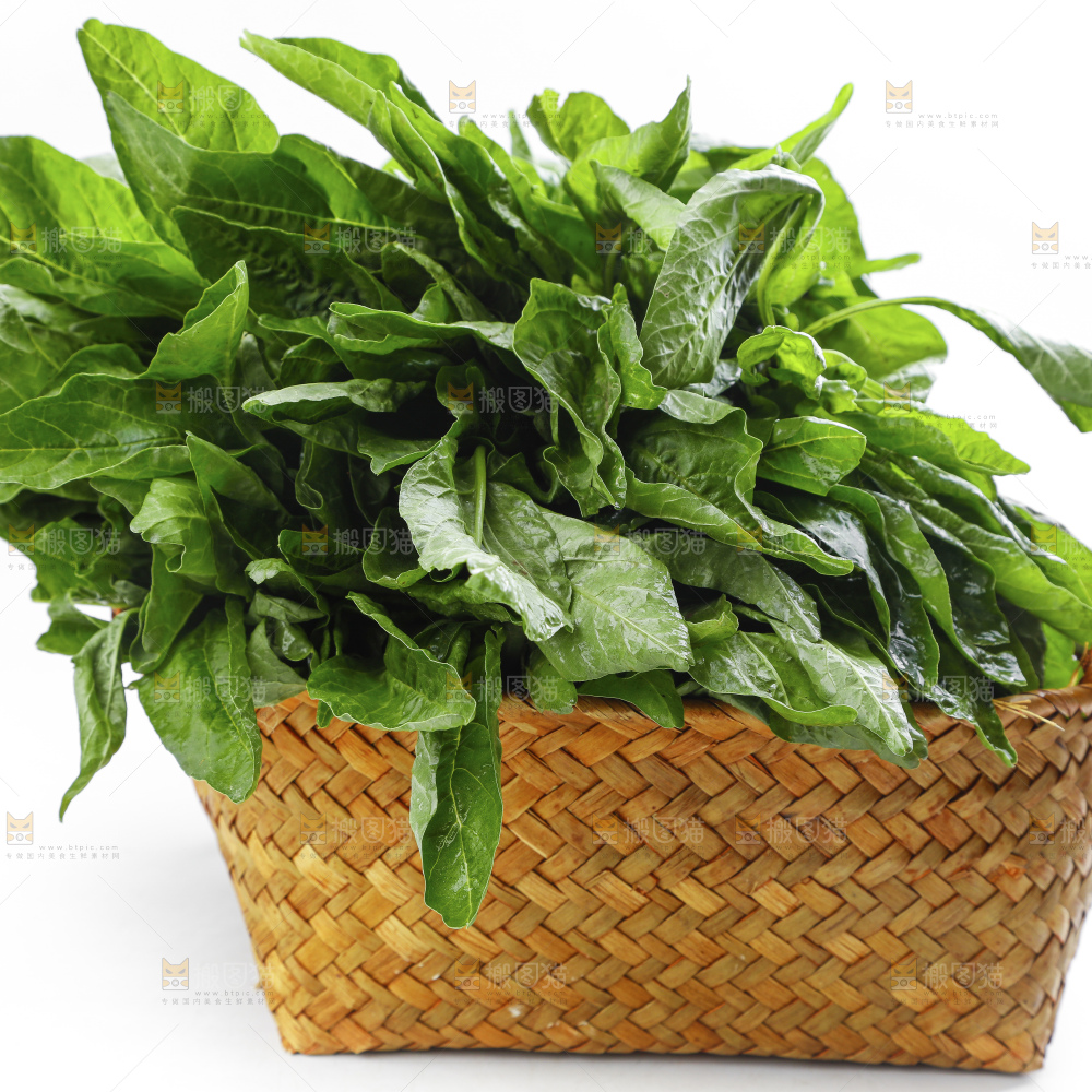 白底上的汉菜