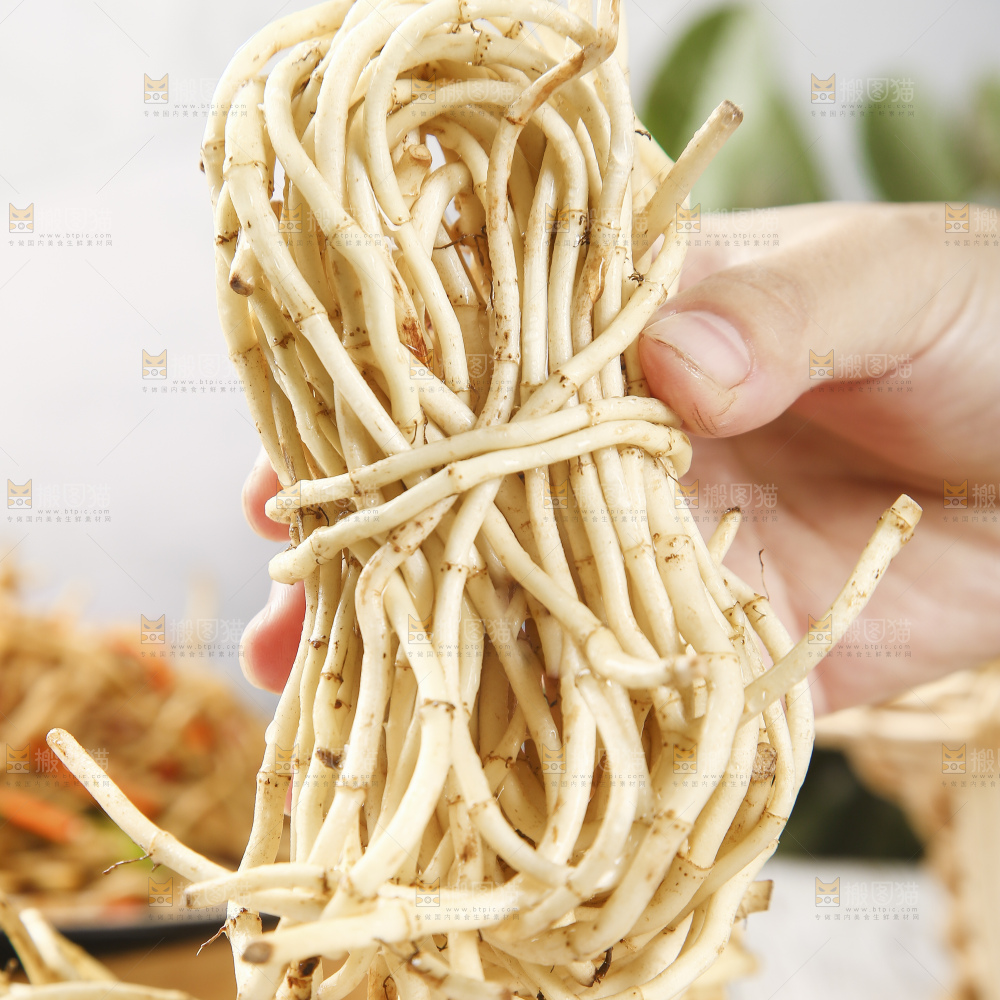 浅底上的折耳根