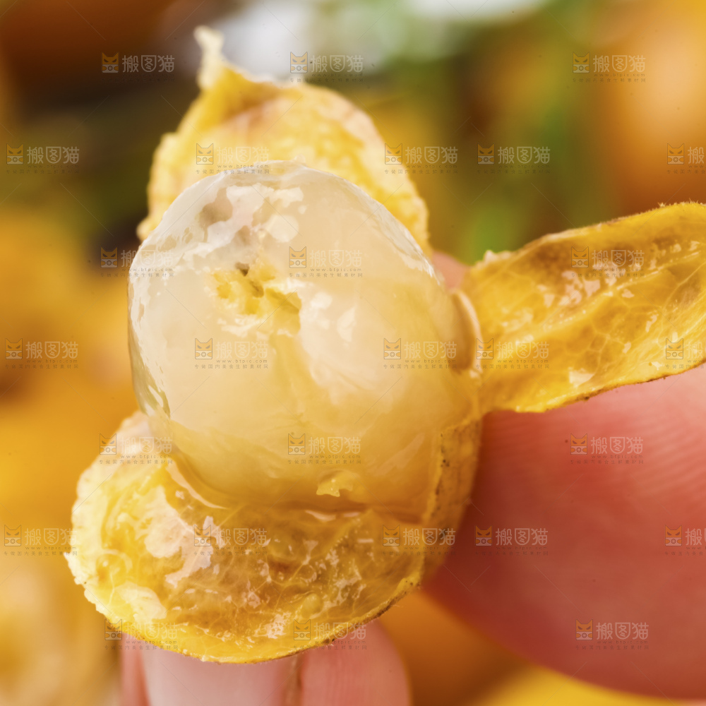 浅底上的黄皮果