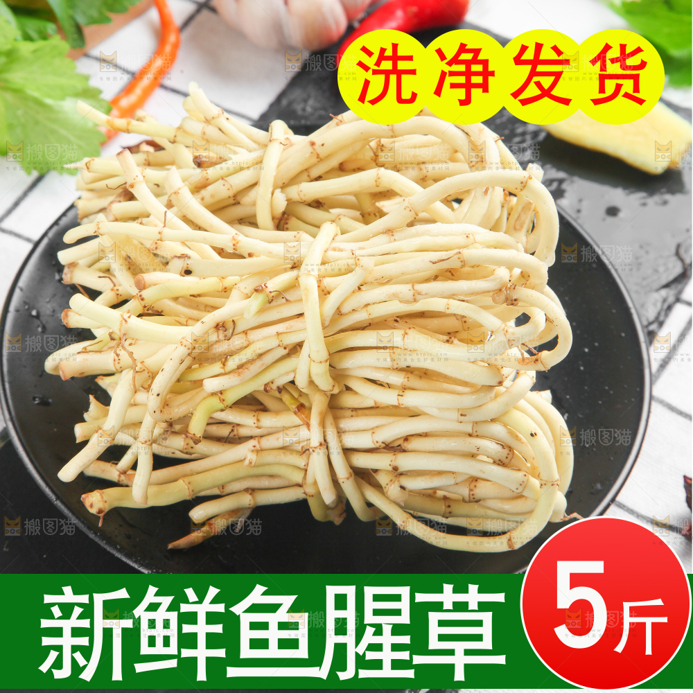 折耳根主图
