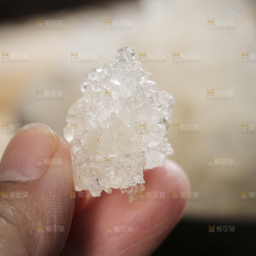 深底上的雪燕