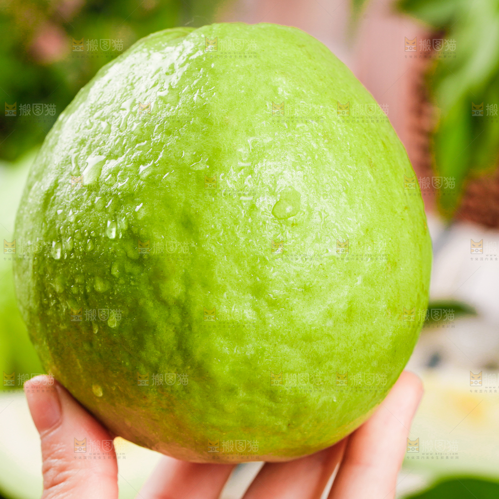 深底上的奶油芭乐