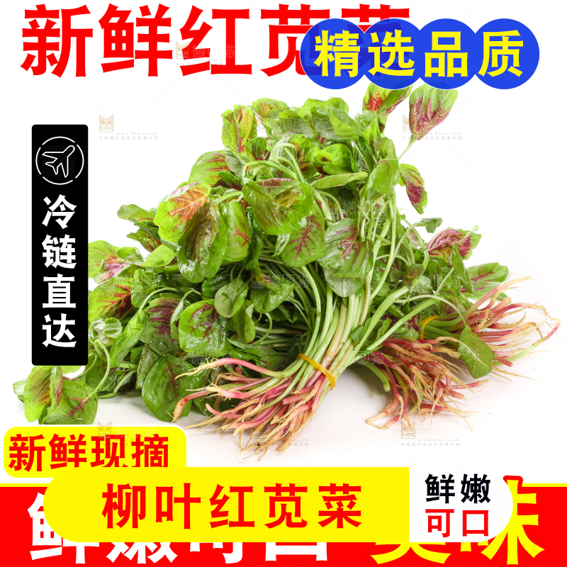 新鲜苋菜主图