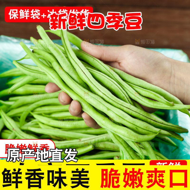 四季豆主图