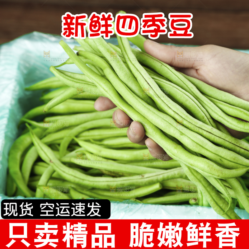 手里拿着四季豆