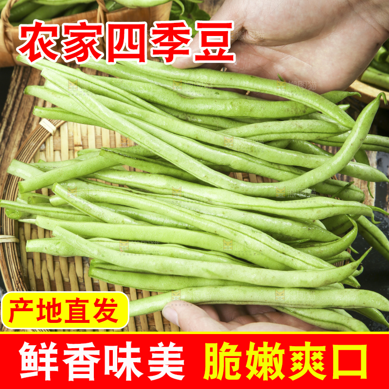 深底上的四季豆