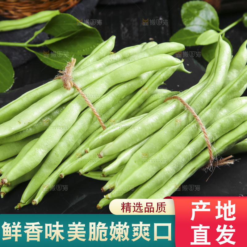 深底上的四季豆